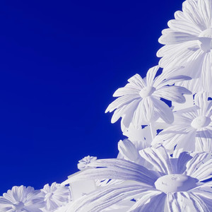 亚洲高清专区日韩精品95
